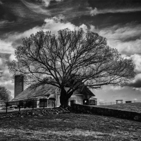 Virginia Gregory-Kocaj