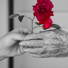 2018 POTM - February