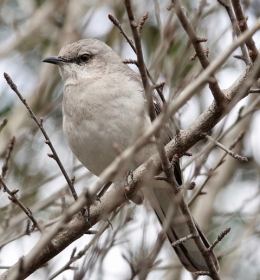 2018 February Outing - Bicentennial Park