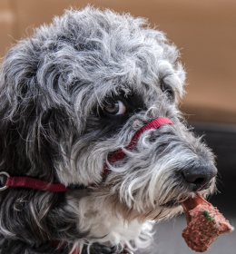 2018 April Outing - 12th Ave South, Nashville