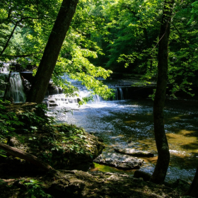 Karen Fox - Old Stone Fort State Park