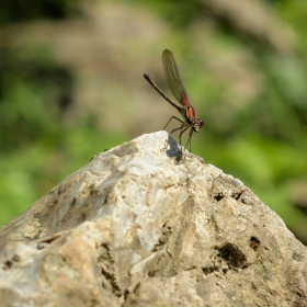 Kevin Graham - Old Stone Fort State Park