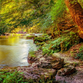 Martin Cregg - Old Stone Fort State Park