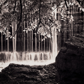 Rick Borchert - Old Stone Fort State Park