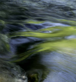 2018 May Outing - Burgess Falls