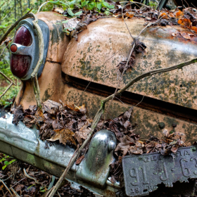 Betty-Cowart-Georgia