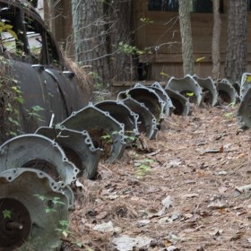 Jeanette Giza - Trans