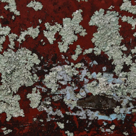 Wayne-Wilkerson-OCC-Red