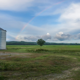 Connie Cole - Entry Level, Themed (Hopper)
