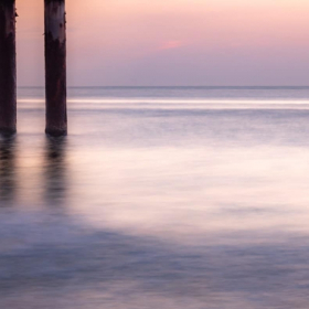 Tamra Stallings - Entry Level, Open Category