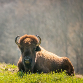Duane-Miller-Leipers-Fork-Outing