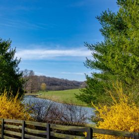 Ed-Batsel-Leipers-Fork-Outing