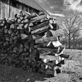 LeipersForkWoodpile_0720-