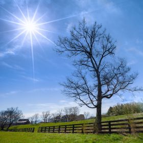 Martin-Cregg-Leipers-Fork-Outing