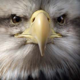 Connie-Cole-Reelfoot-Outing