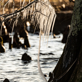 Connie-Lumley-Reelfoot-Lake-Outing