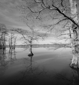2020 February Outing - Reelfoot Lake