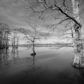 Jeremy-Teran-Reelfoot-Lake-outing-3