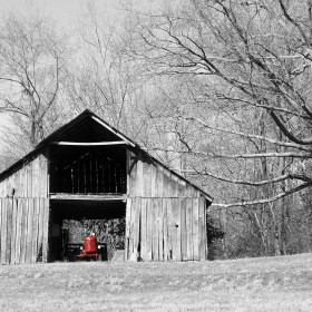 Sheila-Peschio-ReelfootLake