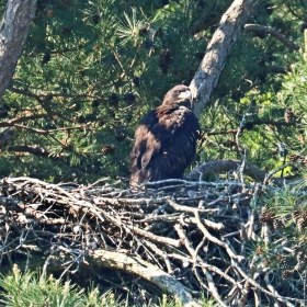 Doug-Almy-BPG-Outing