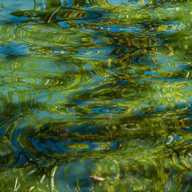 Diane Burgett - Radnor Lake Outing
