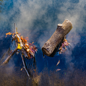 Duane Miller - Radnor Lake Outing