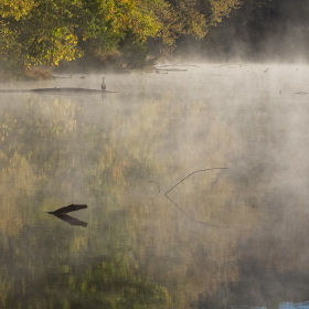 Ed Batsel - Radnor Lake Outing