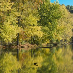 Kevin Graham - Radnor Lake Outing