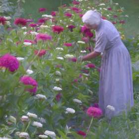 Connie Cole - Proud (2nd Place)