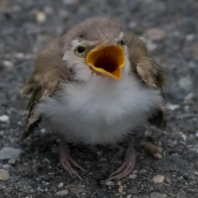 John A. Worrell - Strident (1st Place)