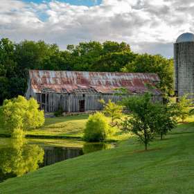Diane-Burgett-Harlinsdale-Farm