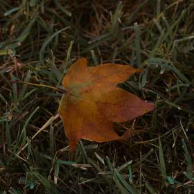 EDE424D7-461B-4BDB-9FD6-06A34C2C05DA