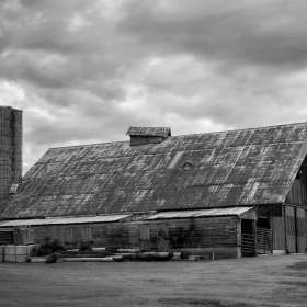 Jeremy-Teran-Harlinsdale-3