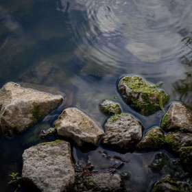 John-Mott-Harlinsdale-Outing