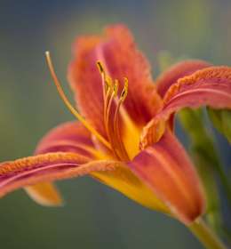 2020 May Outing - Ellington Ag Center