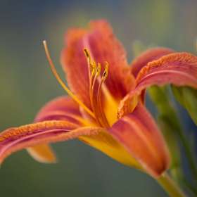 Martin Cregg - Ellington Ag Center Outing 2