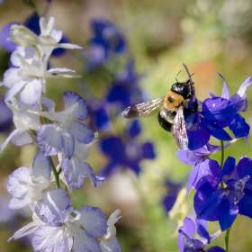 Emily-Helms-Ellington-Ag-Center
