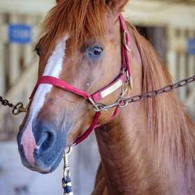 Jeremy-Teran-Ellington-2