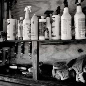 Kevin-Graham-Ellington-Agri-Center-Horse-Care