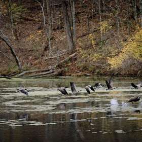 Rander-Lake-2020-11-0053