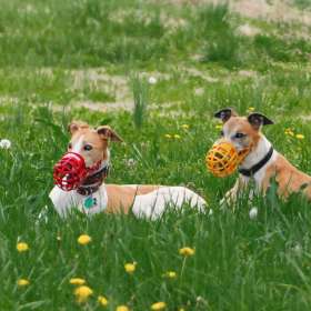 Diane-Burgett-Beth-Anne-and-Specs-May-2013