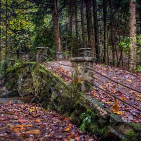Diane-Burgett-SMNP-Elkmont-Troll-Bridge-Oct-2018