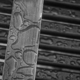 Marjorie-Pess-Open-Jt.-2nd-Place