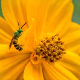 Emily-Helms_Still-Life2