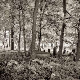 2020 POTM - June (Gallery Wall)