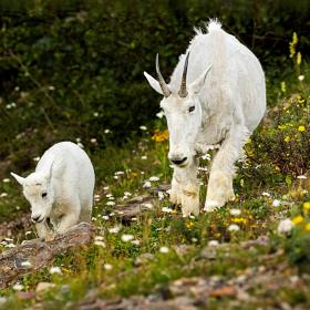 Tim-Lumley-Open-1st-Place
