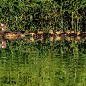 Together-1st-Place-Tim-Lumley