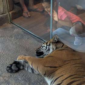 2020 POTM - November (Gallery Wall)