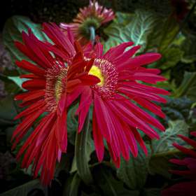 2020 POTM - November