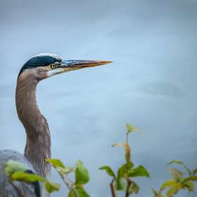 Ken-Langley-Open-1st-Place
